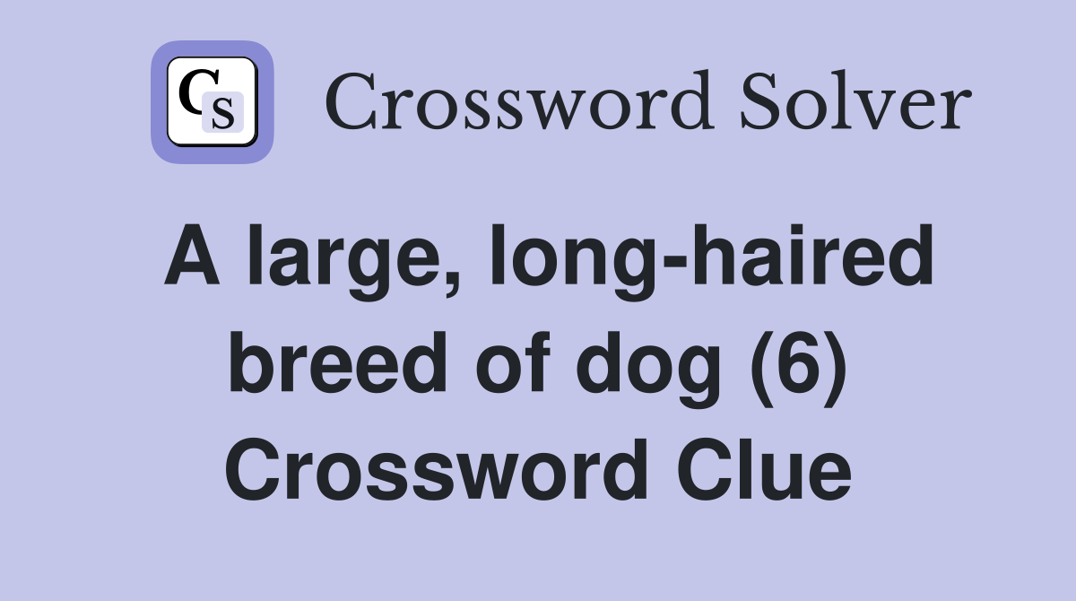 A large, longhaired breed of dog (6) Crossword Clue Answers